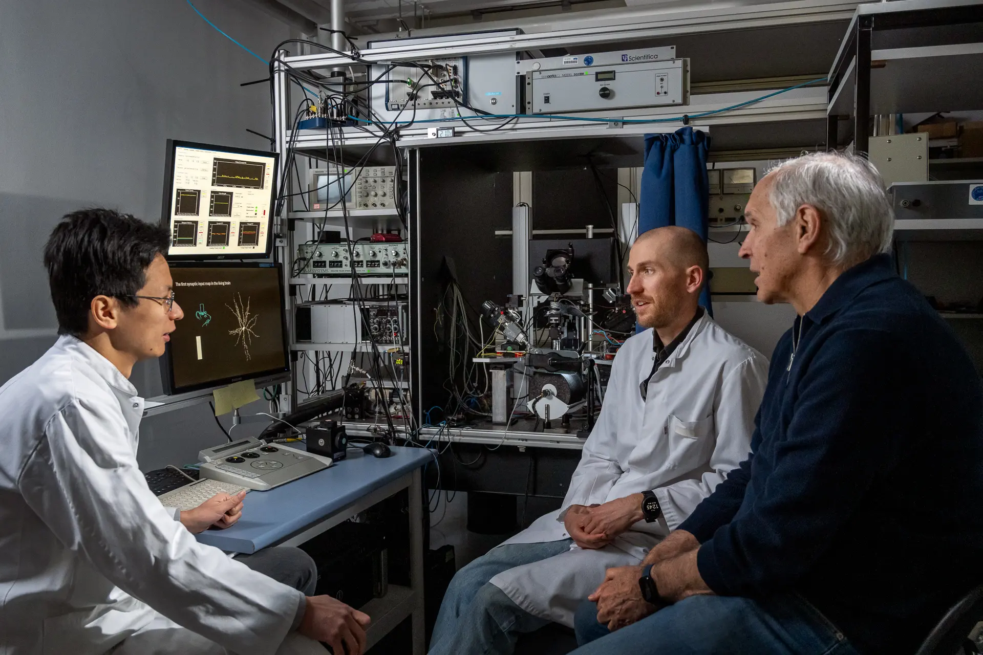 Изследователи на мозъка доказват теорията за зрителното възприятие